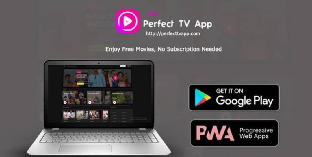 PerfectTV 3.1.0.apk