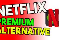 Netflix Premium 5 51 Dec 51.apk