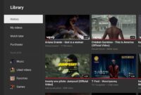 YouTube SmartTube stable 25.08 Android TV Box armeabi-v7a.apk