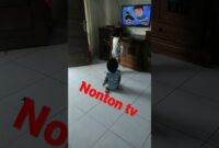 nontontv.vidio.com.txt