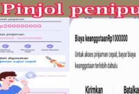 DanaIndo - Pinjaman Mudah v2.1.0 PinJol.apk