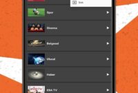 newKoruptor TV v2  .apk