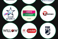 CRICFy TV Pro V4.4 HsOAboAli.apk