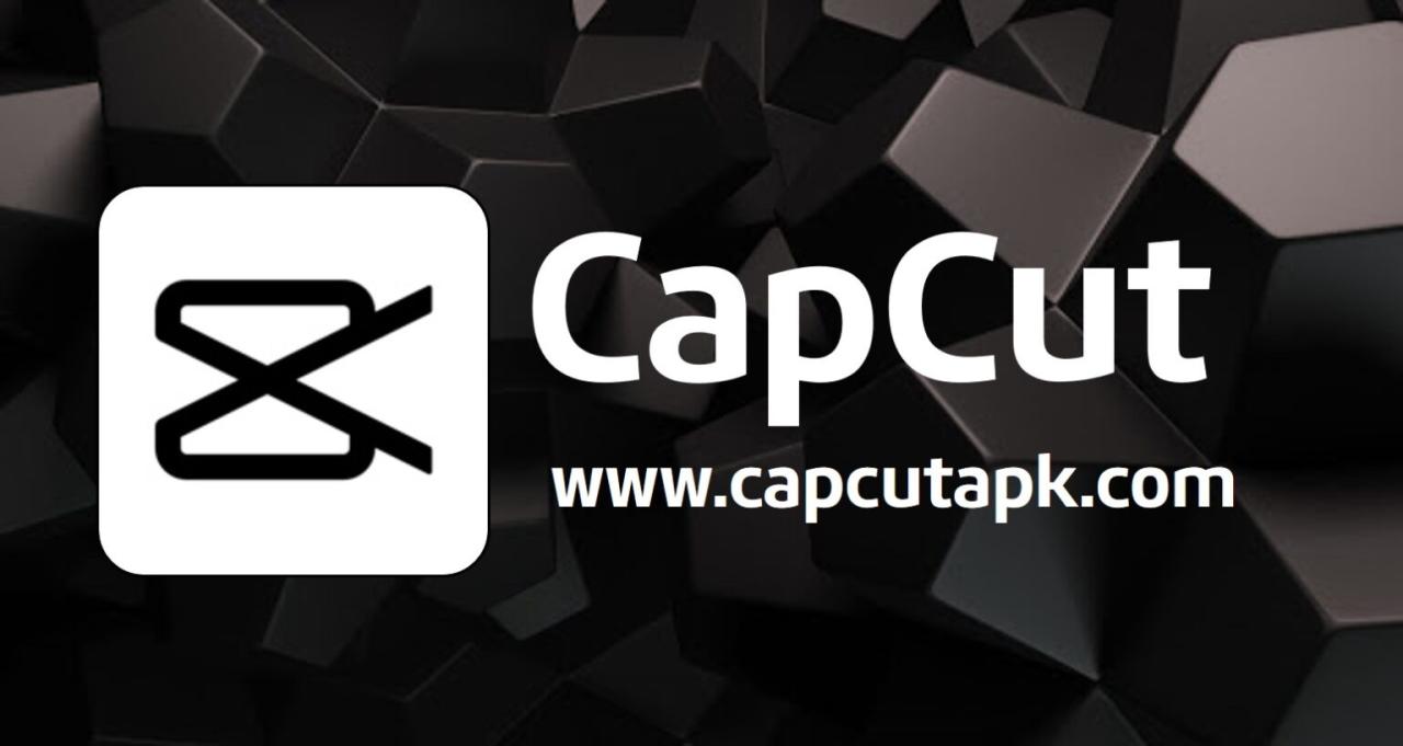 CapCut v11.9.0 VIP.apk