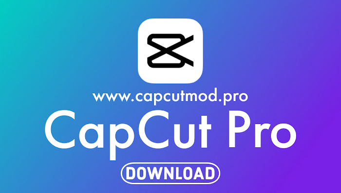 CapCut Pro v13.6.0  Safefileku .apk