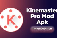 KineMaster Mod v7.5.14.34120.GP.apk