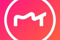 MEITU APP 2025 Photo Editor Ai Free MOD 1.1.0.apk