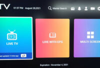 IPTV programtv .apk