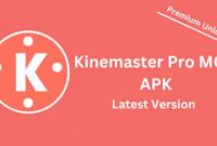 Kinemaster Pro v7.5.16.34132.GP.apk